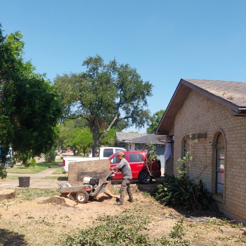 SERVICE STUMP GRINDING